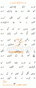 Dilshad_Gul_3